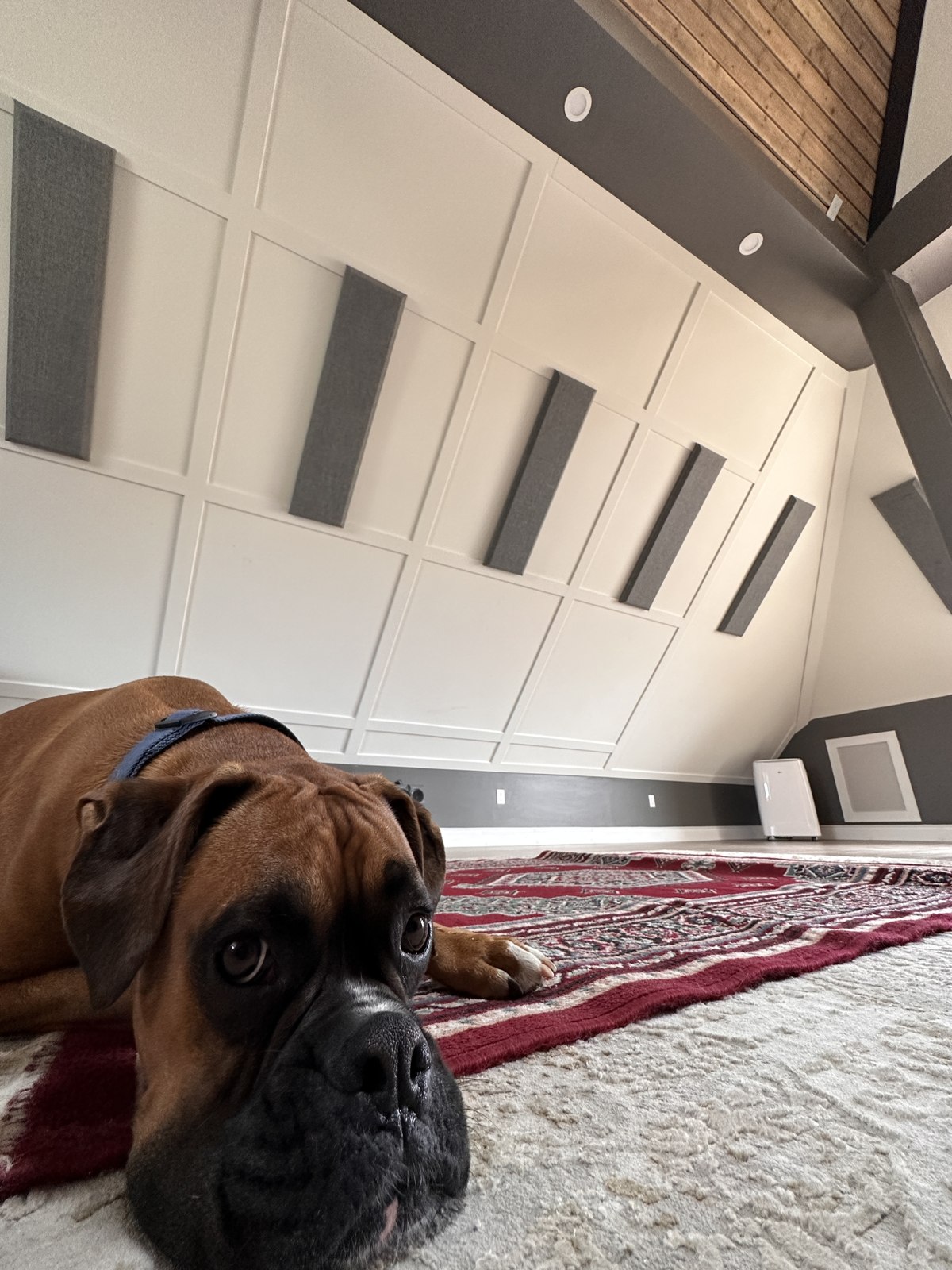 Acoustic panel wall detail